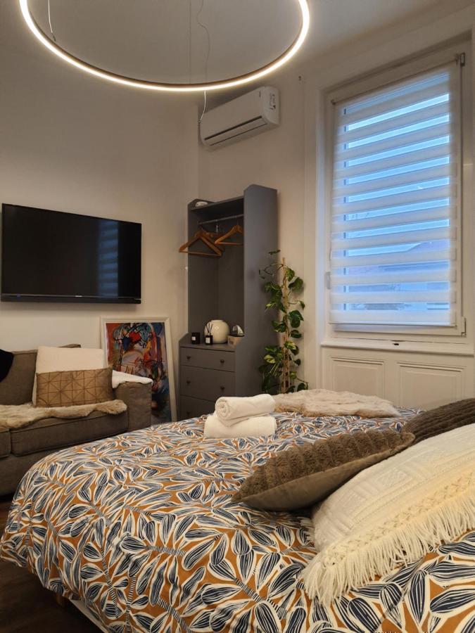Hote Stephanois Studio, Parking& Borne Electrique Сент-Этьен Экстерьер фото